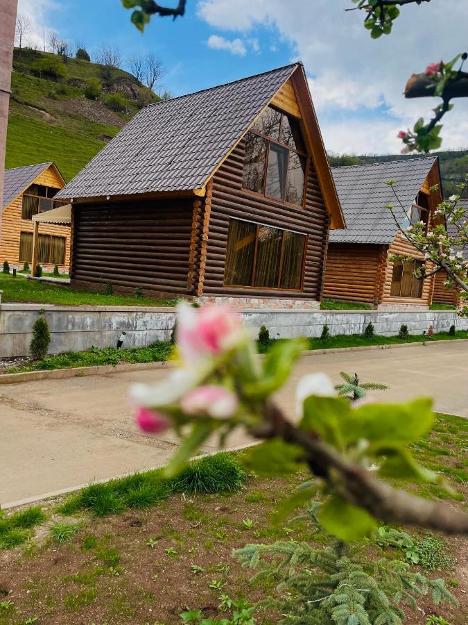 Riverside Eco Resort Debed Exteriér fotografie